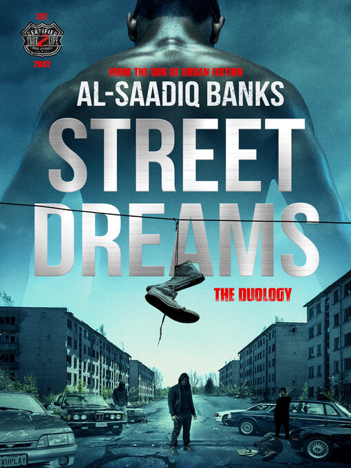 Cover image for Street Dreams